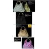 Destock Grossistes sacs a main de plage - ref.5107