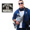 Destock Destockage 6 sweat capuche zipé us marshall homme 100%coton