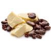Grossiste - fournisseur de beurre de cacao au maroc Grossiste - fournisseur de beurre de cacao au maroc