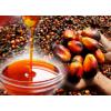 Grossiste - huile de palme pour la cuisine,  le biodiesel et autres usage